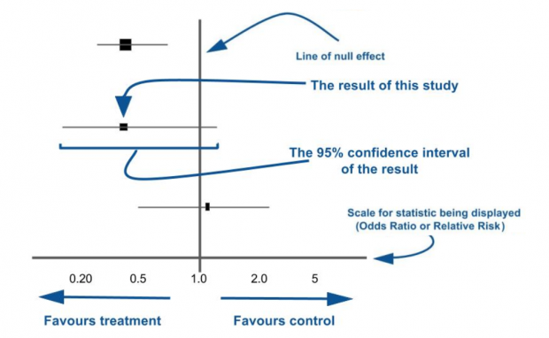 A forest plot sets out the quantitative results from different studies in a systematic review, and gives an indication of how confident we can be about their findings. 