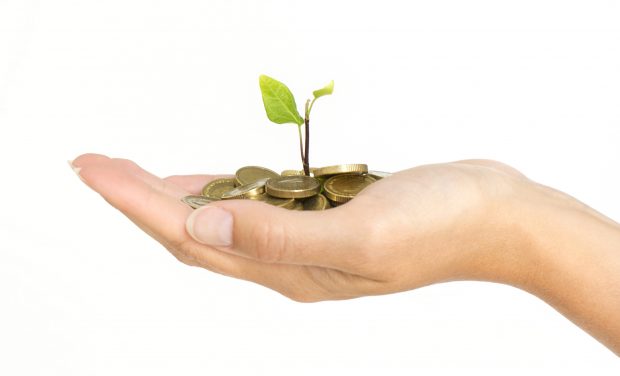 A person's hand holding some coins with a tree growing out of the middle to signify the well known saying ' money does not grow on trees'