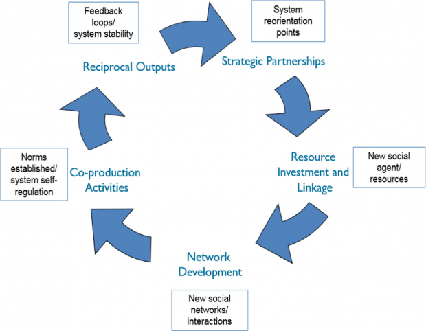 Circular flowchart depicting the T-CAS Network Cycle which comprises five key stages: 1. Strategic Partnerships (system reorientation points), 2) Resource Investment and Linkage (new social agent/resources), 3) Network development (new social networks/interactions), 4) Co-production Activities (norms established/system self regulation), 5) Reciprocal Outputs (feedback loops/system stability)